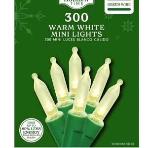 Holiday Time Warm White String Lights with Green Wire